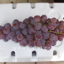 Chinese Supplier of Fresh Sweet Global Grape